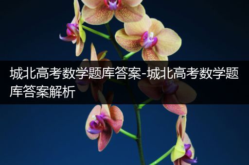 城北高考数学题库答案-城北高考数学题库答案解析