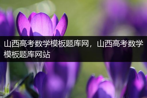 山西高考数学模板题库网，山西高考数学模板题库网站