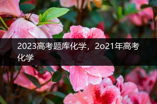 2023高考题库化学，2o21年高考化学