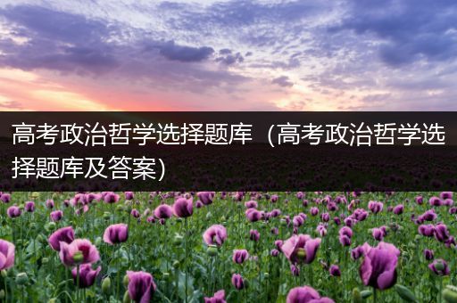高考政治哲学选择题库（高考政治哲学选择题库及答案）