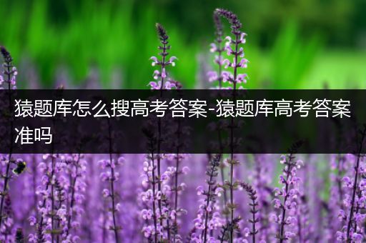 猿题库怎么搜高考答案-猿题库高考答案准吗