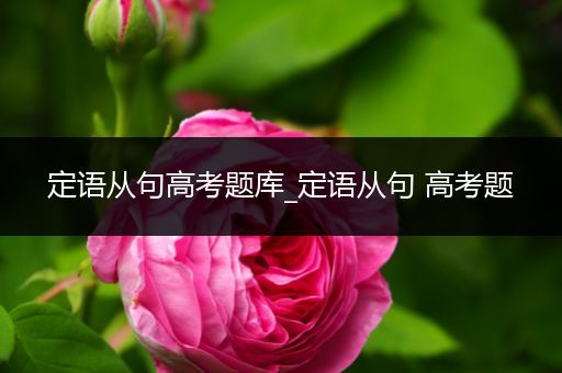 定语从句高考题库_定语从句 高考题