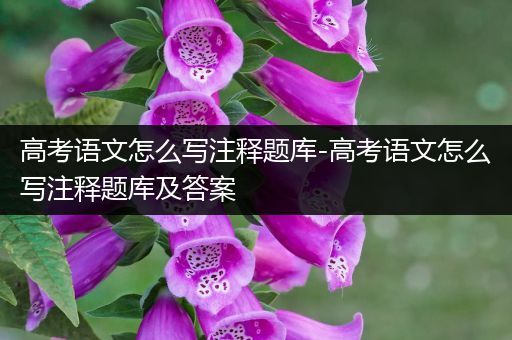 高考语文怎么写注释题库-高考语文怎么写注释题库及答案