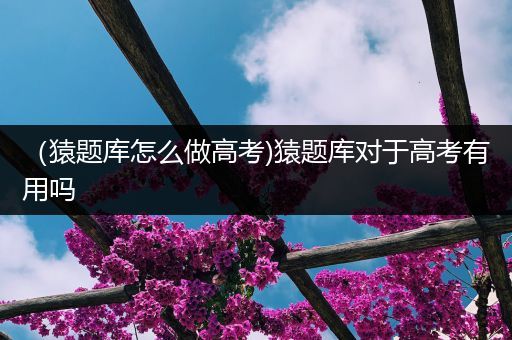 （猿题库怎么做高考)猿题库对于高考有用吗