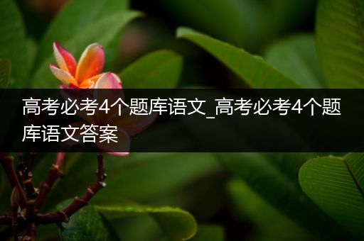 高考必考4个题库语文_高考必考4个题库语文答案