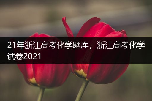 21年浙江高考化学题库，浙江高考化学试卷2021