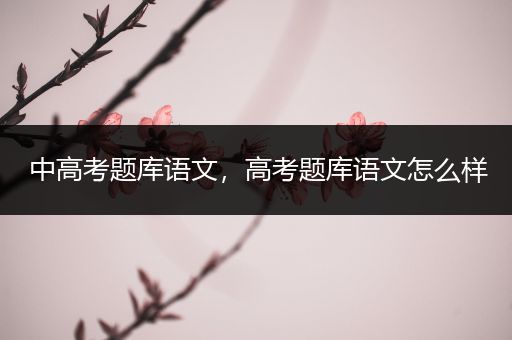 中高考题库语文，高考题库语文怎么样