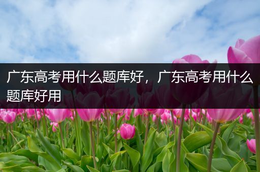 广东高考用什么题库好，广东高考用什么题库好用