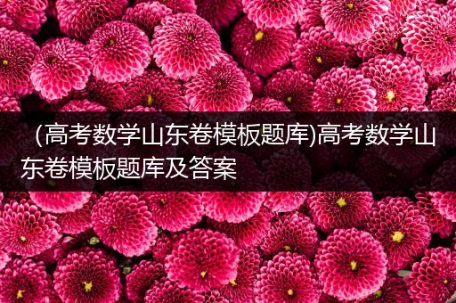 （高考数学山东卷模板题库)高考数学山东卷模板题库及答案