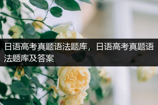 日语高考真题语法题库，日语高考真题语法题库及答案