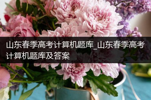 山东春季高考计算机题库_山东春季高考计算机题库及答案