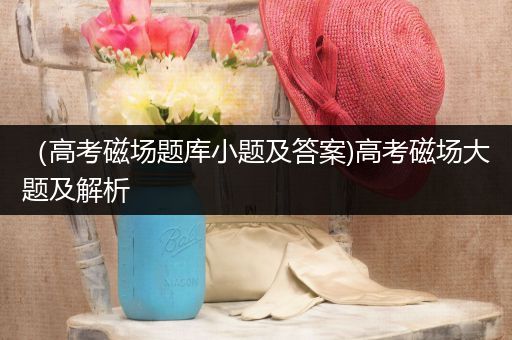 （高考磁场题库小题及答案)高考磁场大题及解析