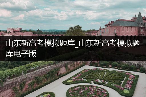 山东新高考模拟题库_山东新高考模拟题库电子版