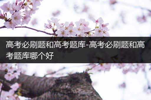 高考必刷题和高考题库-高考必刷题和高考题库哪个好