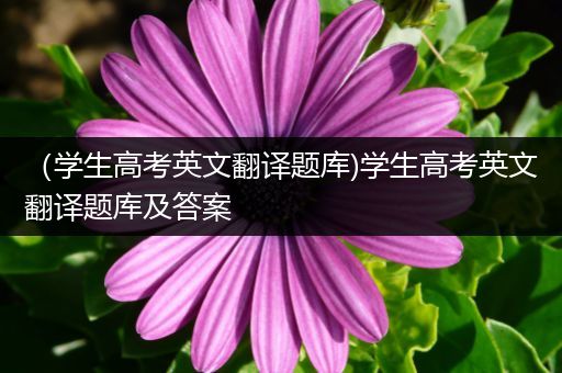 （学生高考英文翻译题库)学生高考英文翻译题库及答案