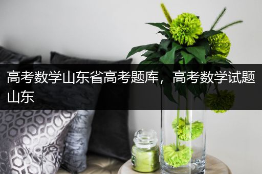 高考数学山东省高考题库，高考数学试题山东