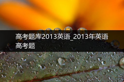 高考题库2013英语_2013年英语高考题