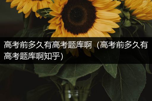 高考前多久有高考题库啊（高考前多久有高考题库啊知乎）
