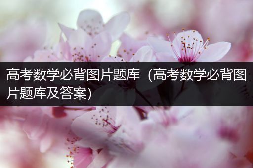 高考数学必背图片题库（高考数学必背图片题库及答案）