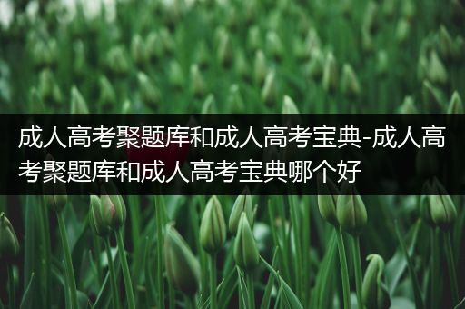 成人高考聚题库和成人高考宝典-成人高考聚题库和成人高考宝典哪个好