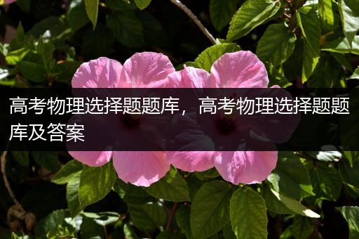 高考物理选择题题库，高考物理选择题题库及答案