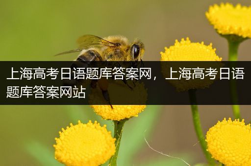 上海高考日语题库答案网，上海高考日语题库答案网站