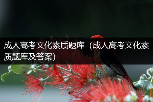 成人高考文化素质题库（成人高考文化素质题库及答案）