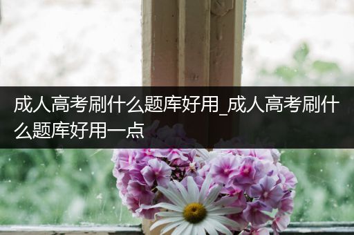 成人高考刷什么题库好用_成人高考刷什么题库好用一点