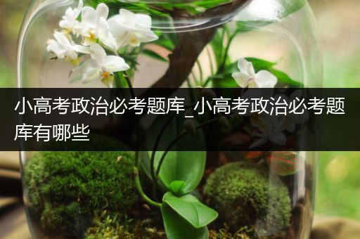 小高考政治必考题库_小高考政治必考题库有哪些