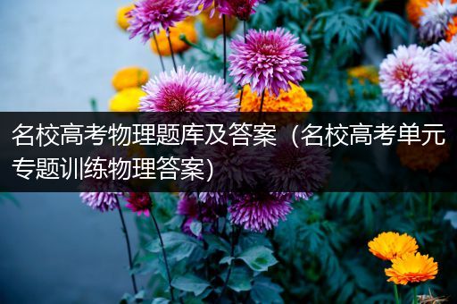 名校高考物理题库及答案（名校高考单元专题训练物理答案）