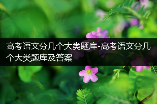 高考语文分几个大类题库-高考语文分几个大类题库及答案