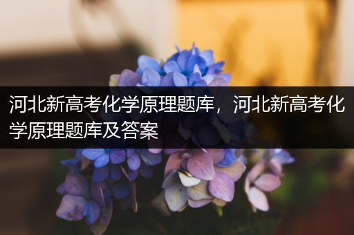 河北新高考化学原理题库，河北新高考化学原理题库及答案