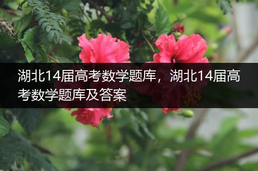 湖北14届高考数学题库，湖北14届高考数学题库及答案