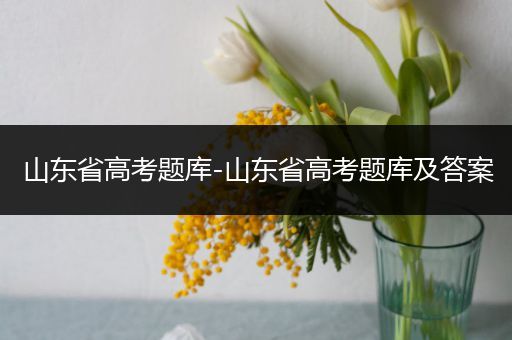 山东省高考题库-山东省高考题库及答案