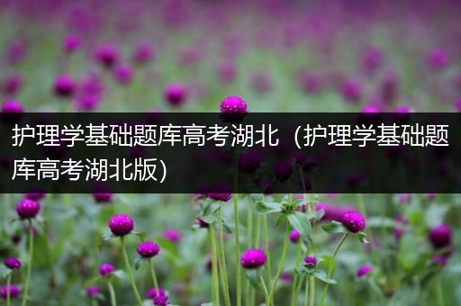 护理学基础题库高考湖北（护理学基础题库高考湖北版）