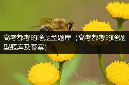 高考都考的啥题型题库（高考都考的啥题型题库及答案）