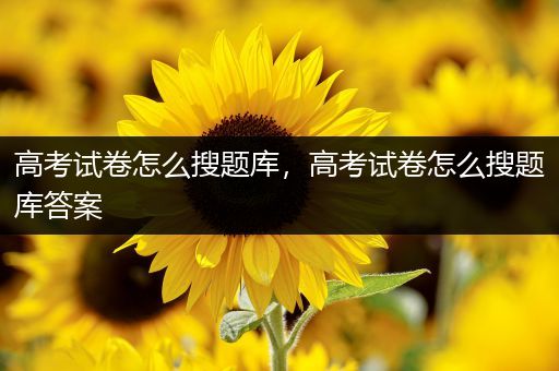 高考试卷怎么搜题库，高考试卷怎么搜题库答案