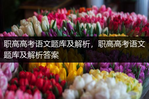 职高高考语文题库及解析，职高高考语文题库及解析答案