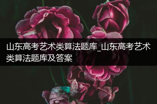 山东高考艺术类算法题库_山东高考艺术类算法题库及答案