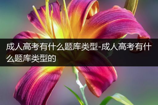 成人高考有什么题库类型-成人高考有什么题库类型的