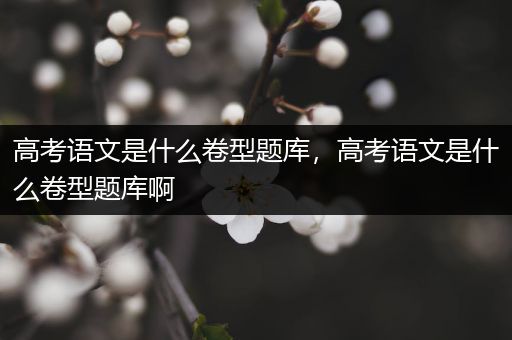 高考语文是什么卷型题库，高考语文是什么卷型题库啊