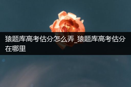 猿题库高考估分怎么弄_猿题库高考估分在哪里