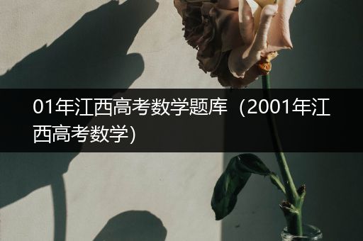 01年江西高考数学题库（2001年江西高考数学）