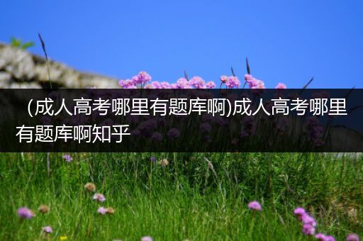 （成人高考哪里有题库啊)成人高考哪里有题库啊知乎