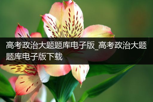 高考政治大题题库电子版_高考政治大题题库电子版下载