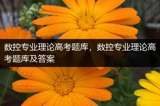 数控专业理论高考题库，数控专业理论高考题库及答案
