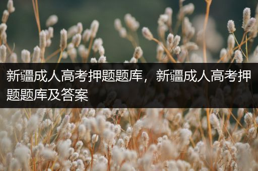 新疆成人高考押题题库，新疆成人高考押题题库及答案