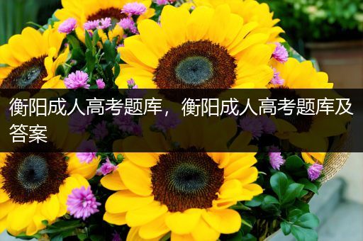 衡阳成人高考题库，衡阳成人高考题库及答案