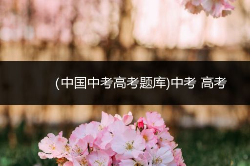 （中国中考高考题库)中考 高考