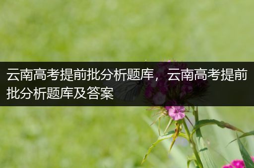 云南高考提前批分析题库，云南高考提前批分析题库及答案